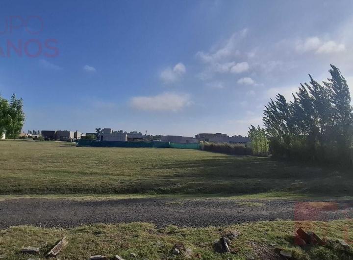 Terreno · 954m²