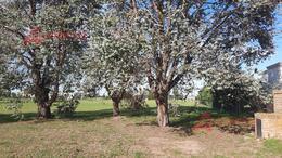 Terreno · 2000m²
