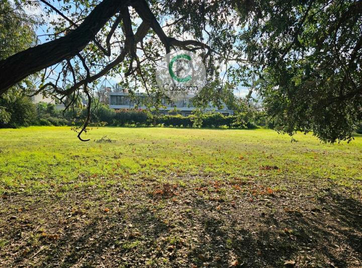 Terreno · 1500m²