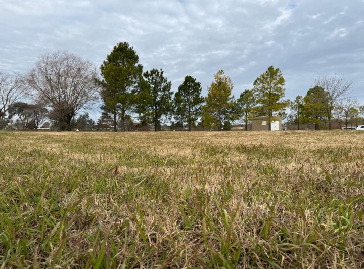 Terreno · 2900m²