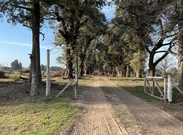 Terreno · 300m²