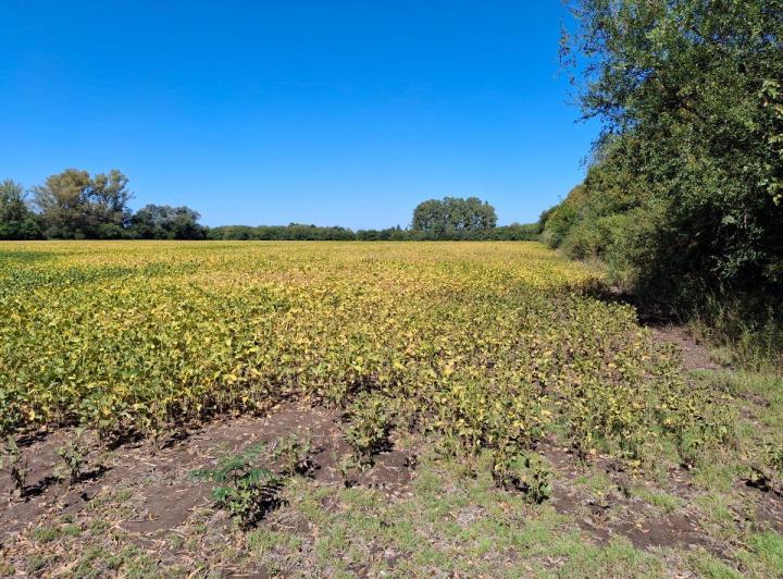 Terreno · 37m²