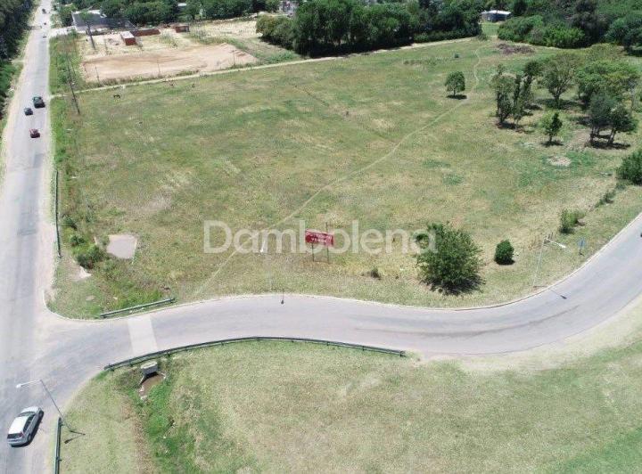 Terreno · 1228m²