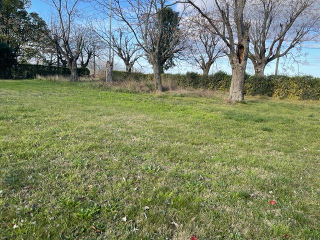 Terreno · 1687m²