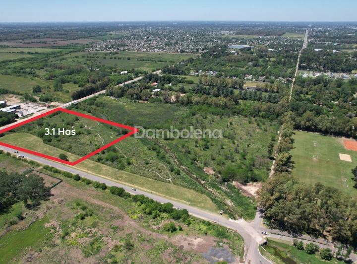 Terreno · 31212m²