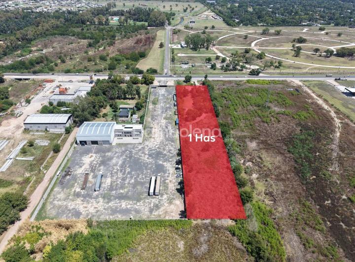 Terreno · 10000m²