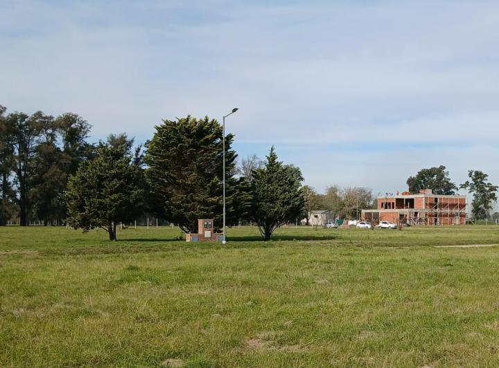 Terreno · 950m²