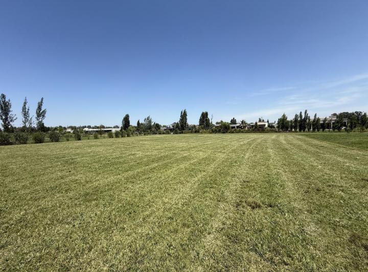 Terreno · 2000m²