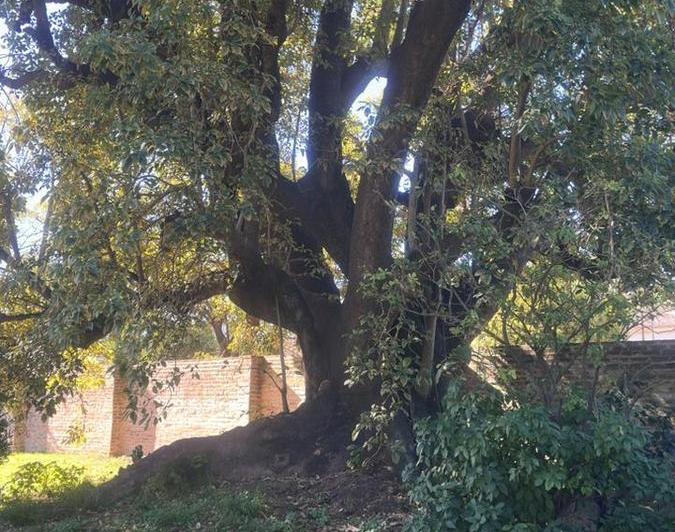 Terreno · 300m²