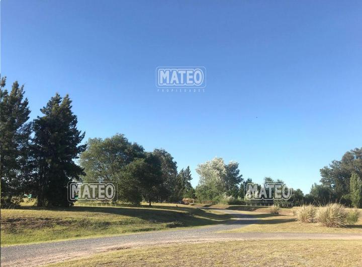 Terreno · 10000m²