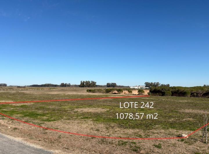Terreno · 1078m²