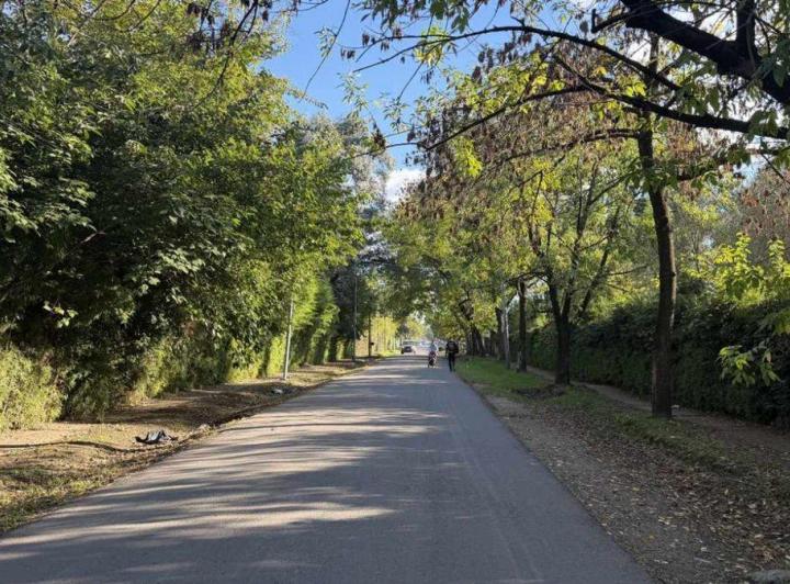 Terreno · 324m²