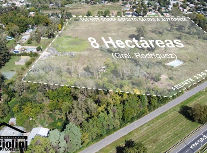 Terreno · 80000m²