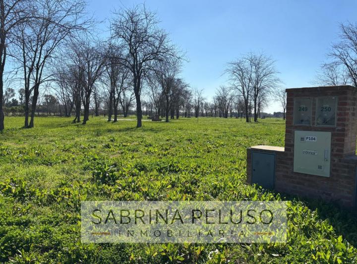Terreno · 743m²
