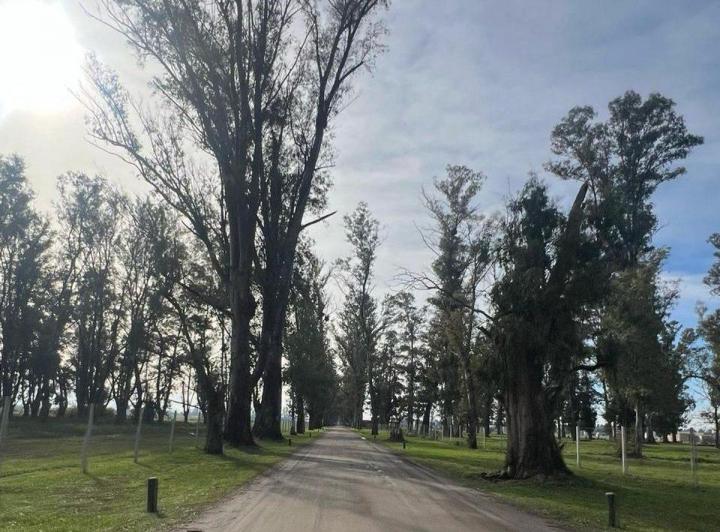Terreno · 1000m²