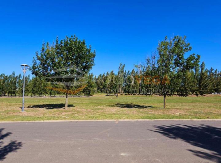 Terreno · 1000m²