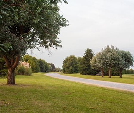 Terreno · 4007m²