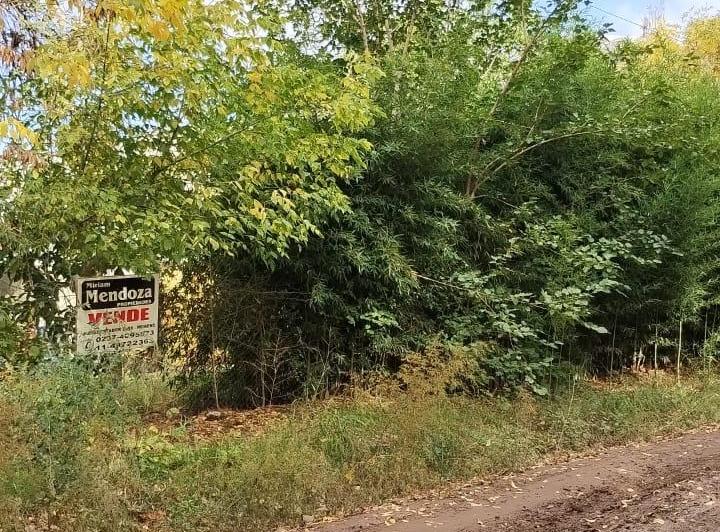 Terreno · 144m² · 1 Ambiente