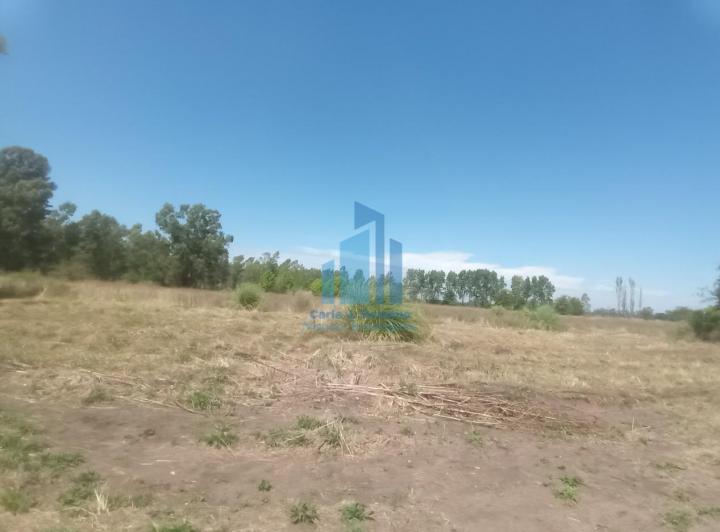 Terreno · 1340m² · 1 Ambiente