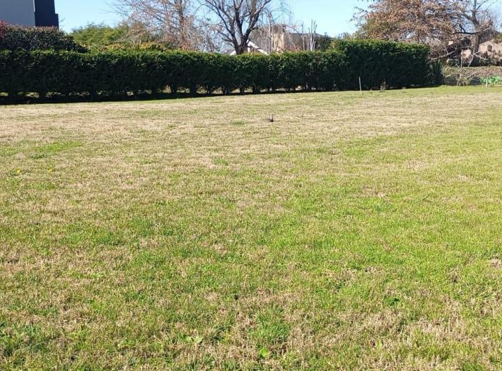 Terreno · 1000m²