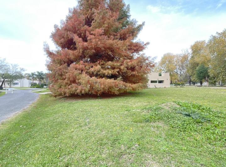 Terreno · 1000m²