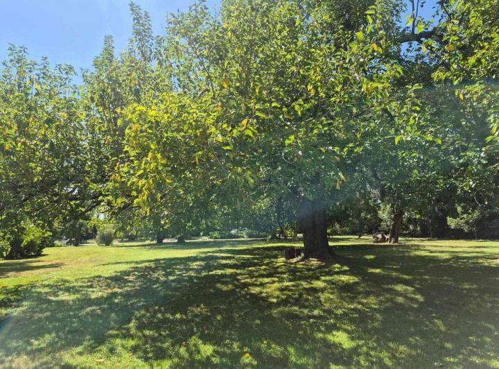 Terreno · 2175m²