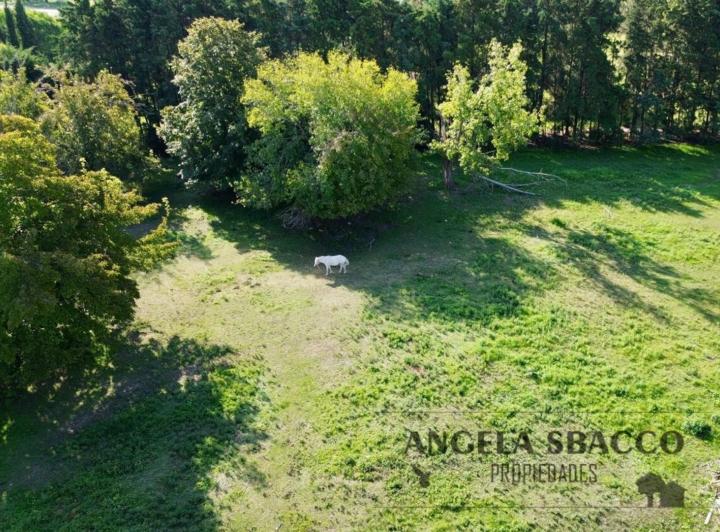 Terreno · 850m²