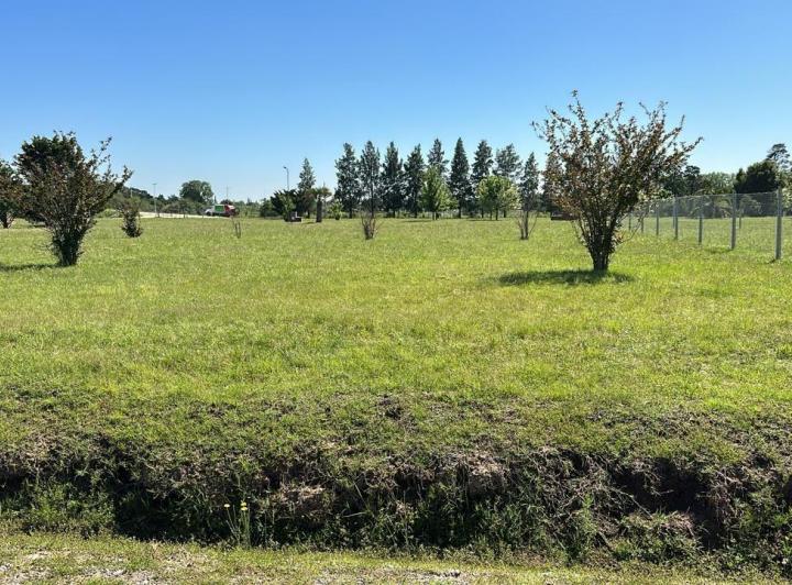Terreno · 900m²