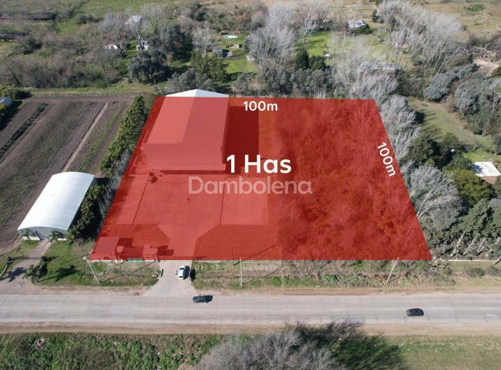 Terreno · 10000m²