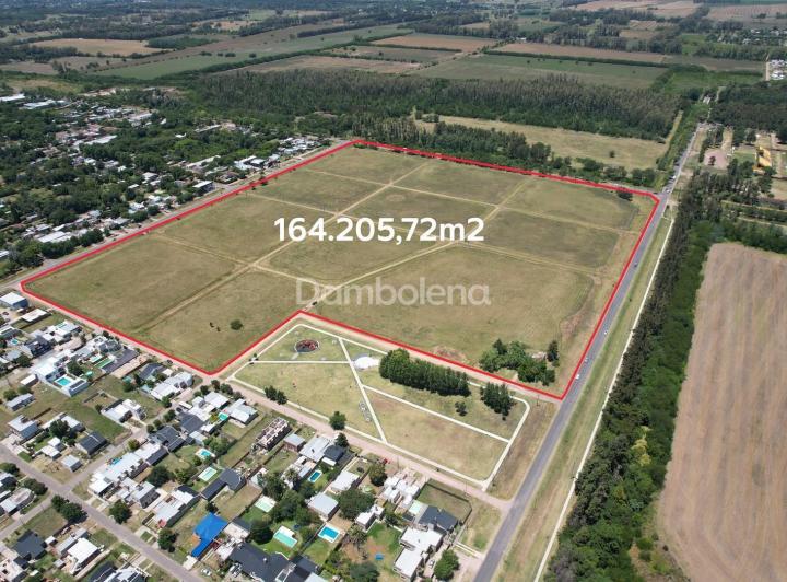 Terreno · 164205m²