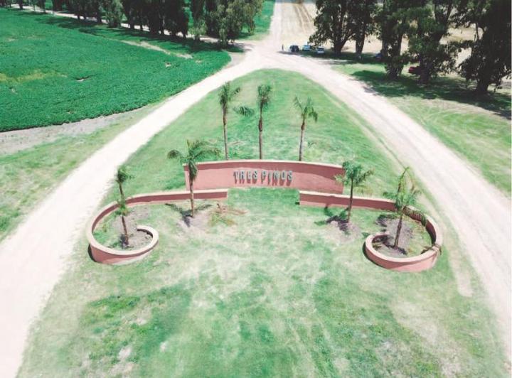 Terreno · 1200m²