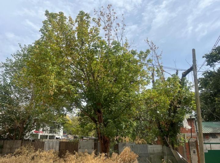 Terreno · 409m²