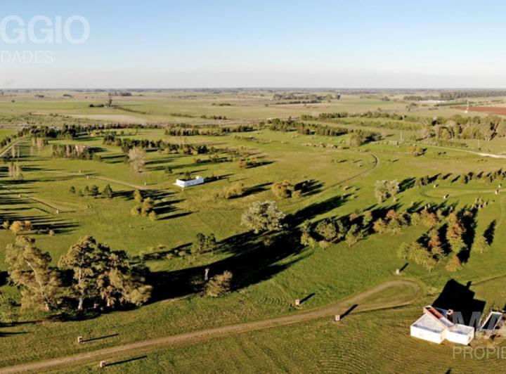 Terreno · 1767m²