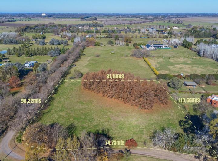 Terreno · 10003m²