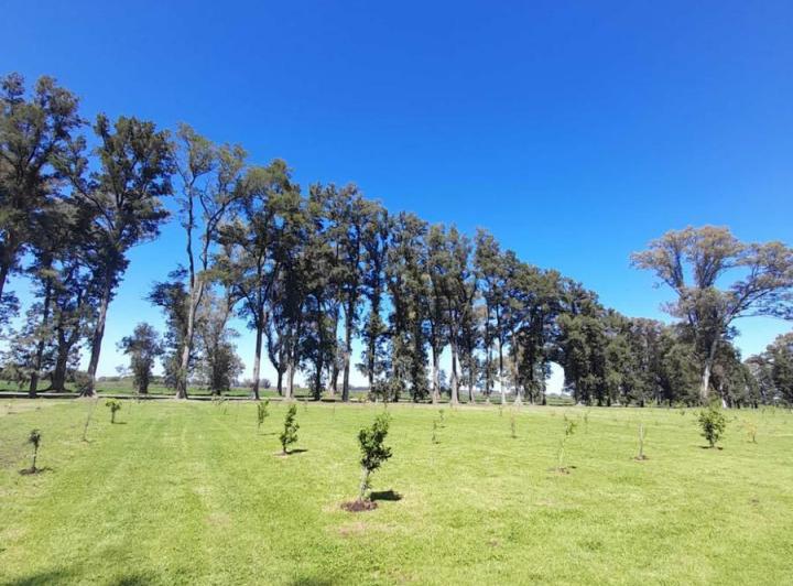 Terreno · 1123m²