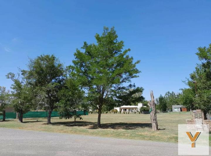 Terreno · 2000m²