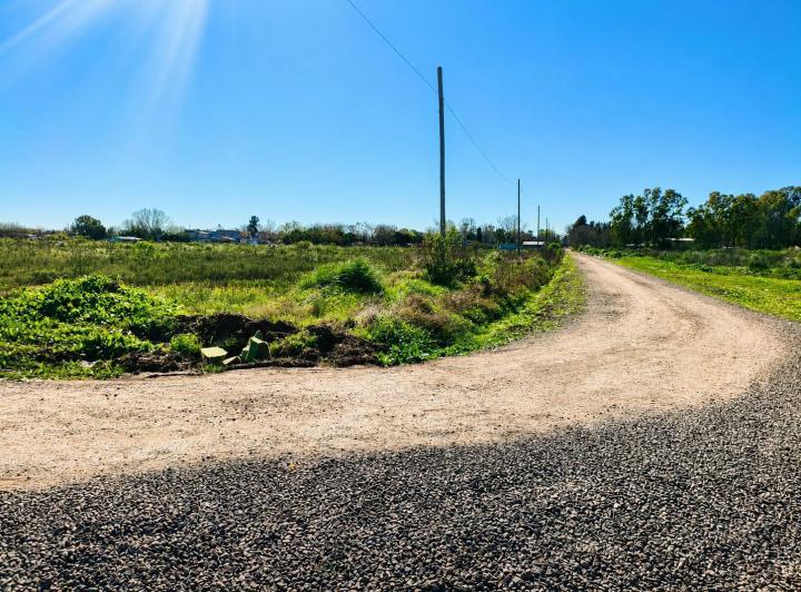 Terreno · 15ha