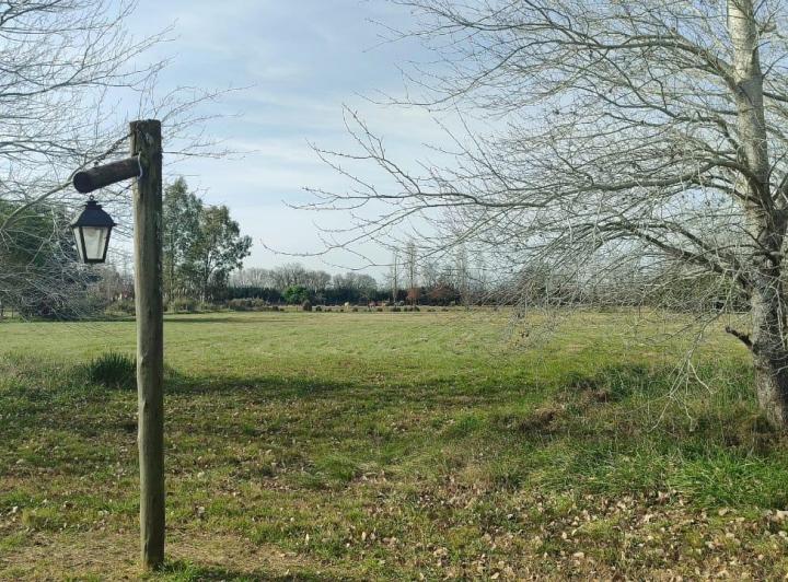 Terreno · 10000m²