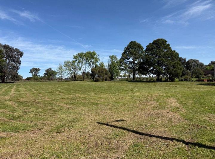 Terreno · 2978m²
