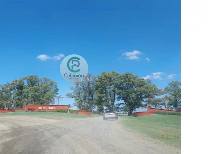 Terreno · 1000m²