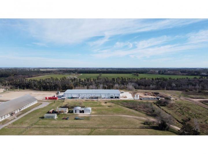 Terreno · 5000m²