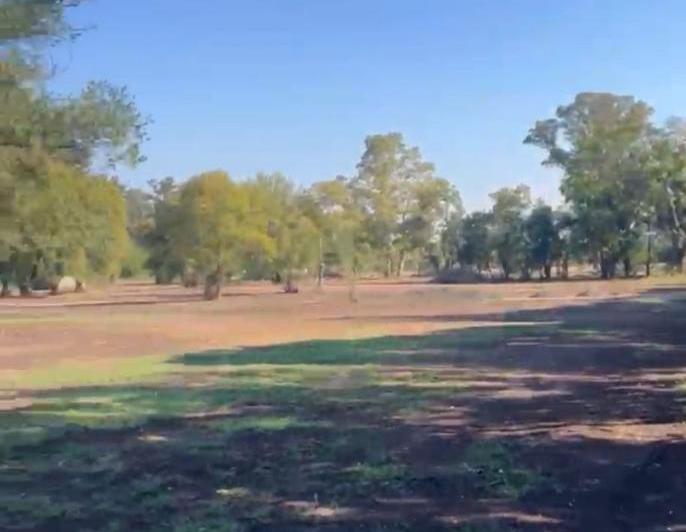 Terreno · 1000m²