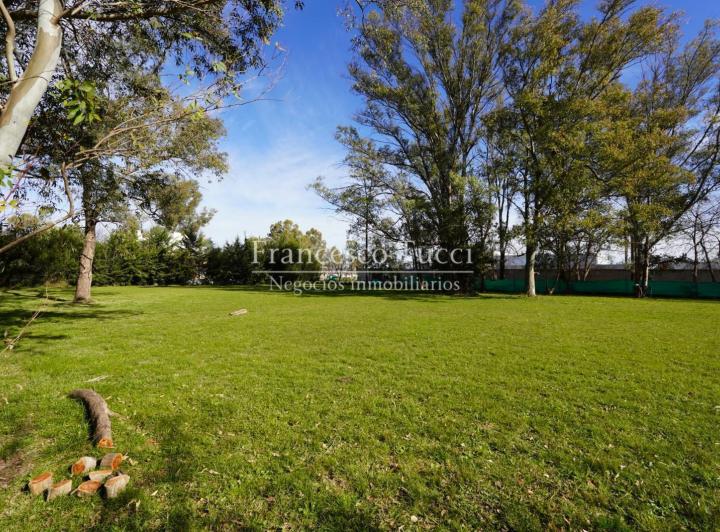 Terreno · 12000m²