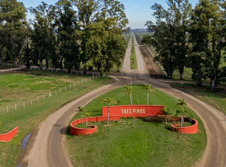 Terreno · 1000m²