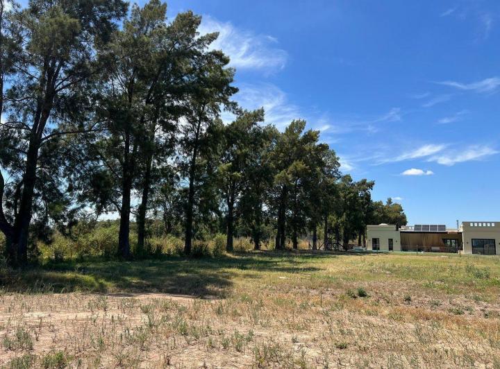 Terreno · 1280m²