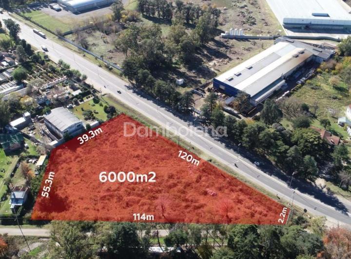 Terreno · 6000m²
