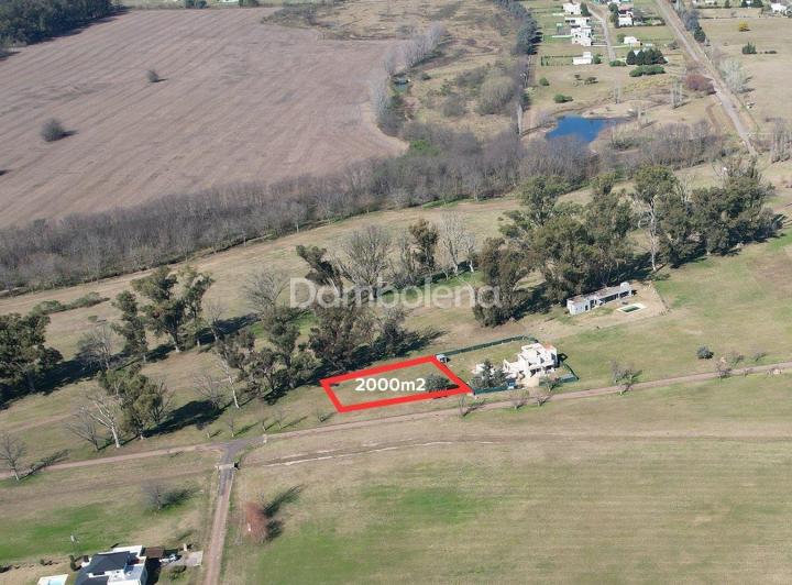 Terreno · 2000m²