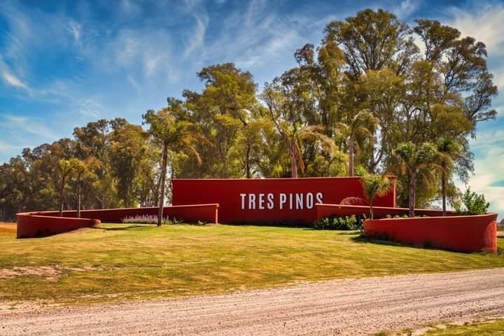 Terreno · 1000m²