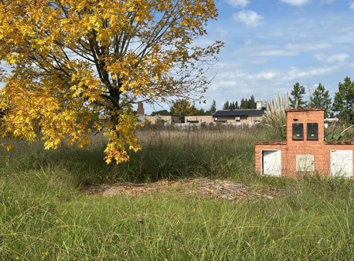 Terreno · 1101m²