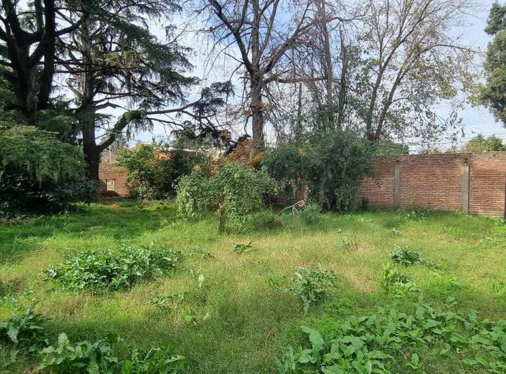 Terreno · 323m²
